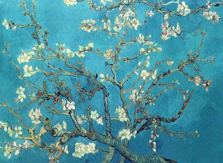 Vincent van Gogh : Mandulavirágzás